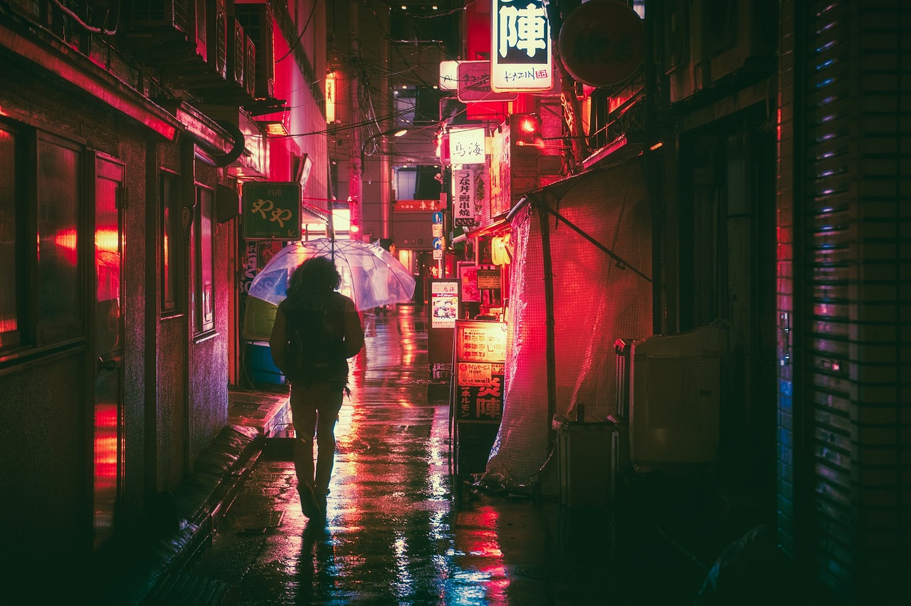japan, osaka, night, asia, landmark, travel, japanese, architecture, nature, city, building, tourist, outdoor, street food, street markets, neon, glow, advertising, urban, man, guy, people, traveller, adventure, rain, umbrella